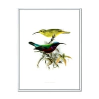 Древни австралийски птици в рамка живопис платно Арт Принт